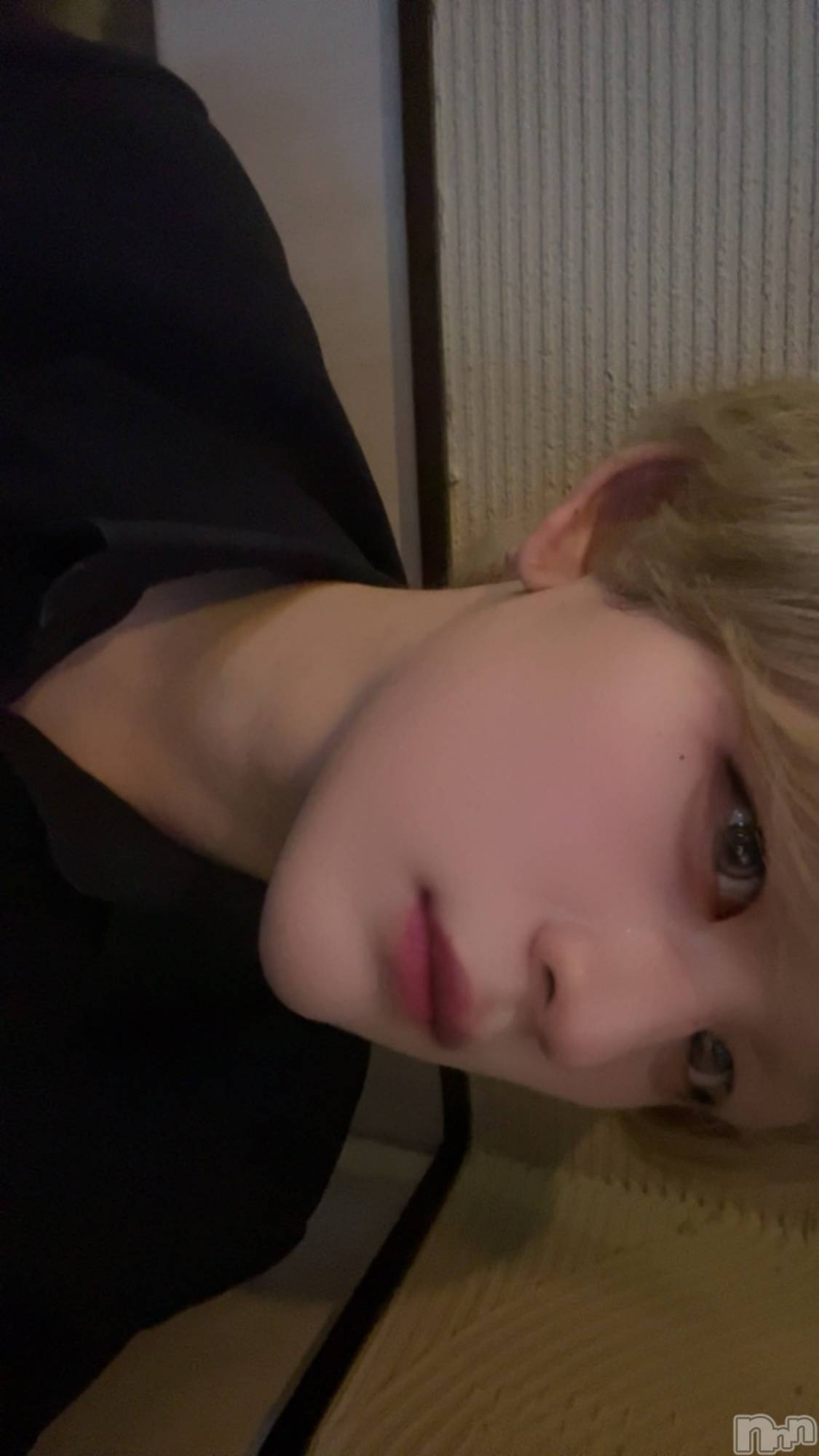 ��Į�ۥ��ȡ��ܡ������С�A151(�����������ݥ���) ��2025ǯ10��5���̥�֥����֤����