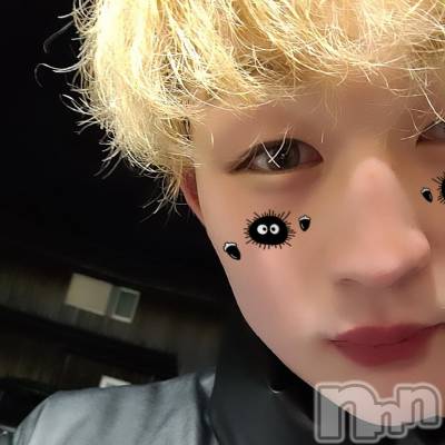 ��Į�ۥ��ȡ��ܡ������С�A151(�����������ݥ���) ŷ�Ȥդ��Ƥ�(99)��1��8���̥�֥����֥С����ǡ�����