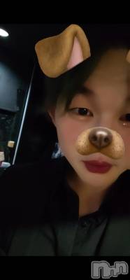 ��Į�ۥ��ȡ��ܡ������С�A151(�����������ݥ���) ŷ�Ȥդ��Ƥ�(99)��2��25���̥�֥�����ȱ���Ѥ��衼��