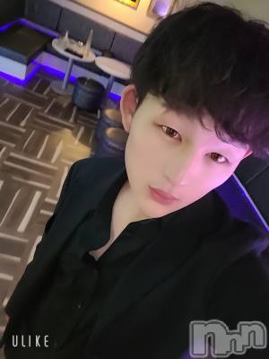 ��Į�ۥ��ȡ��ܡ������С�A151(�����������ݥ���) ŷ�Ȥդ��Ƥ�(99)��5��22���̥�֥����ַ������ȸ������Ȥϡ�������