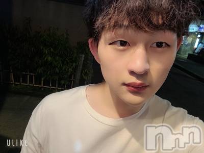 ��Į�ۥ��ȡ��ܡ������С�A151(�����������ݥ���) ŷ�Ȥդ��Ƥ�(99)��5��27���̥�֥����ְ���뵤���ġ�