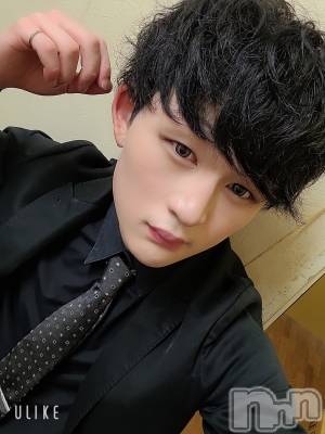 ��Į�ۥ��ȡ��ܡ������С�A151(�����������ݥ���) ŷ�Ȥդ��Ƥ�(99)��7��29���̥�֥����ֺ�����