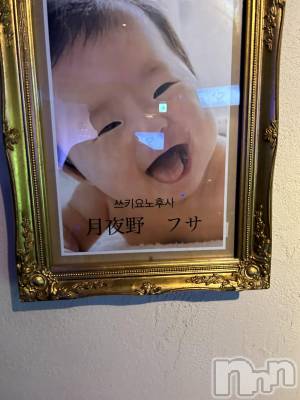 ��Į�ۥ��ȡ��ܡ������С�A151(�����������ݥ���) ŷ�Ȥդ��Ƥ�(99)��6��30���̥�֥�����������������