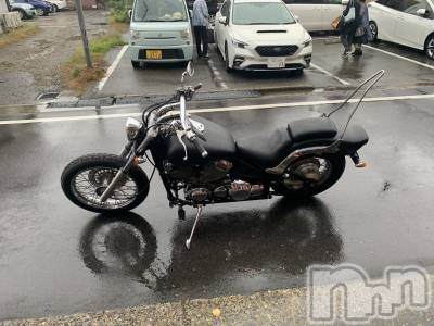 ��Į�ۥ��ȡ��ܡ������С�A151(�����������ݥ���) ŷ�Ȥդ��Ƥ�(99)��2��14���̥�֥����ֺ����Ϥ褦����ΥС����ǡ���