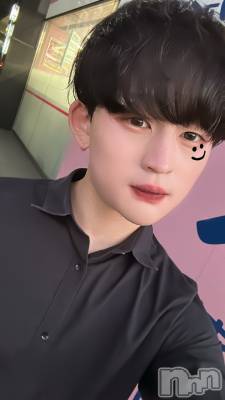 ��Į�ۥ��ȡ��ܡ������С�A151(�����������ݥ���) ŷ�Ȥդ��Ƥ�(99)��3��2���̥�֥����ֻ����