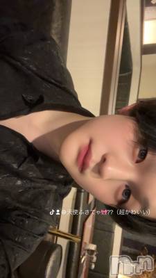 ��Į�ۥ��ȡ��ܡ������С�A151(�����������ݥ���) ŷ�Ȥդ��Ƥ�(99)��8��20���̥�֥����֤��夷���