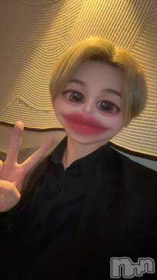 ��Į�ۥ��ȡ��ܡ������С�A151(�����������ݥ���) ŷ�Ȥդ��Ƥ�(99)��9��10���̥�֥����֤פפס�