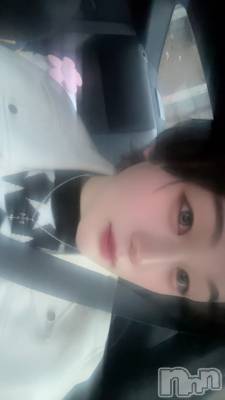 ��Į�ۥ��ȡ��ܡ������С�A151(�����������ݥ���) ŷ�Ȥդ��Ƥ�(99)��2��15���̥�֥�����19�����פ��