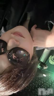 ��Į�ۥ��ȡ��ܡ������С�A151(�����������ݥ���) ŷ�Ȥդ��Ƥ�(99)��3��19���̥�֥����֤�äġ�