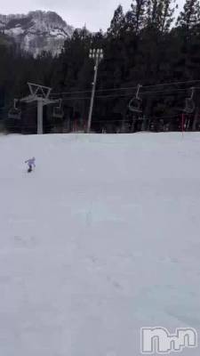 ���������ĵ٤ߤǤ���