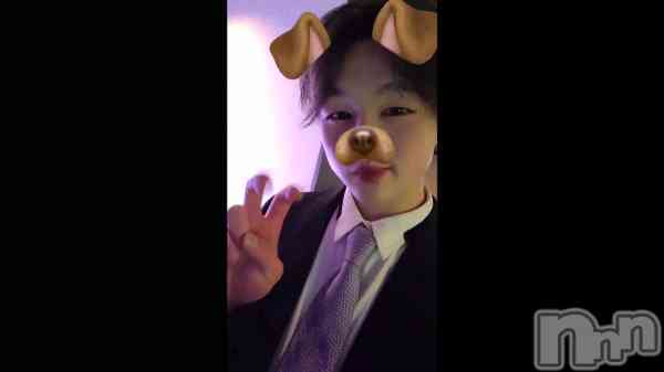 ��ư�����������