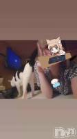 䤷Ͽ䤻˿䤷Ȥ