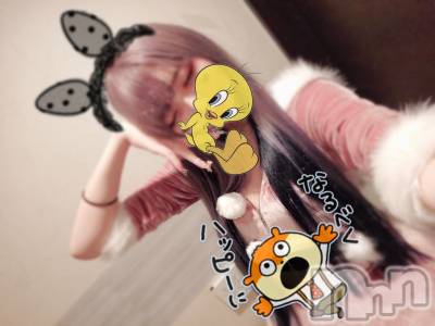 ߡ(24) ĹҥߥġåȥС BAR WAAARP(С)ҡ
