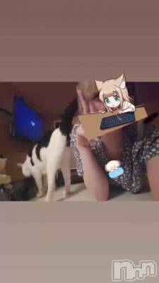 �䤷�Ͽ䤻����˿䤷�Ȥ�