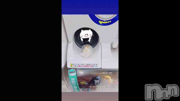 �֤�������ʤ��Ȥ��롩�ʽ������