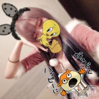 �����������������åȥС� BAR WAAARP(�С����) �ߡ��β���(2����)