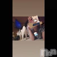 �䤷�Ͽ䤻����˿䤷�Ȥ�