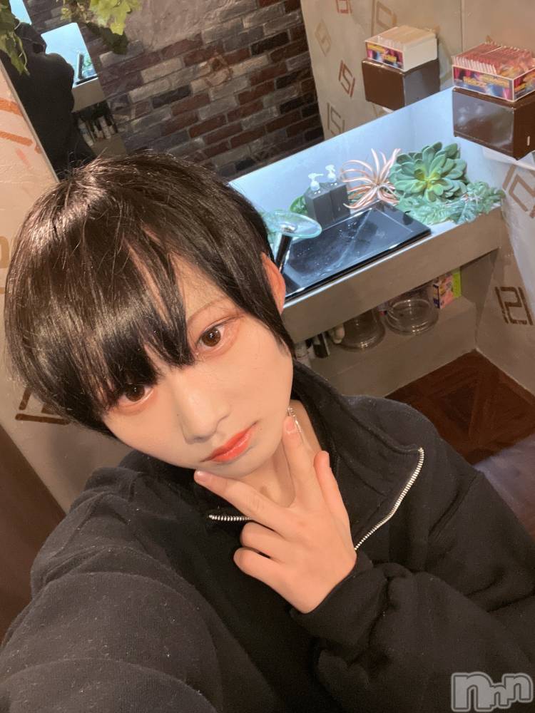 ��Į�ۥ��ȡ��ܡ������С�A151(�����������ݥ���) ��򥷥��2��11���̥�֥����ִ���Ū����������ä���