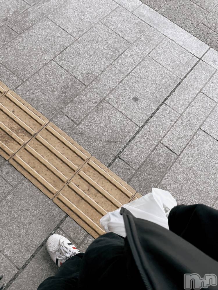 ��Į�ۥ��ȡ��ܡ������С�A151(�����������ݥ���) ��򥷥��4��15���̥�֥����֥���٥Ĺ⤤��