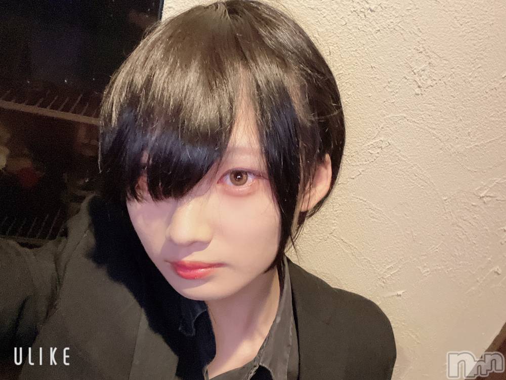 ��Į�ۥ��ȡ��ܡ������С�A151(�����������ݥ���) ��򥷥��4��19���̥�֥���������������