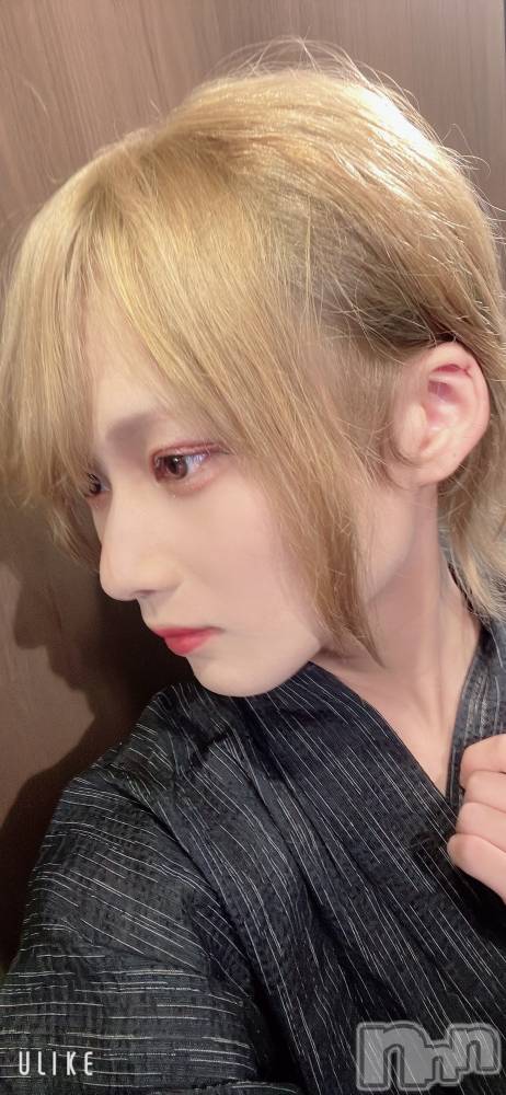 ��Į�ۥ��ȡ��ܡ������С�A151(�����������ݥ���) ��򥷥��8��5���̥�֥�����2���ܡ�