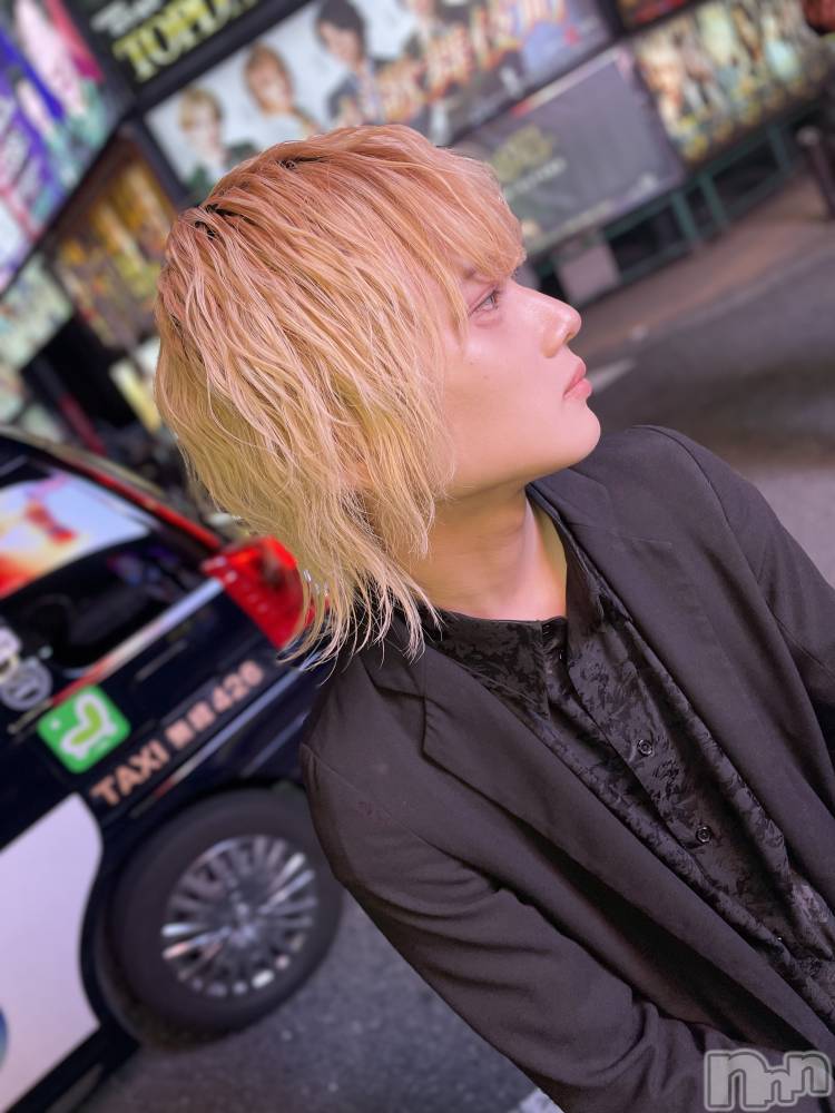 ��Į�ۥ��ȡ��ܡ������С�A151(�����������ݥ���) ��򥷥��5��30���̥�֥�����������������