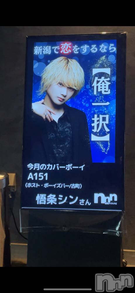 ��Į�ۥ��ȡ��ܡ������С�A151(�����������ݥ���) ��򥷥��6��17���̥�֥����ֻ����ԡ�