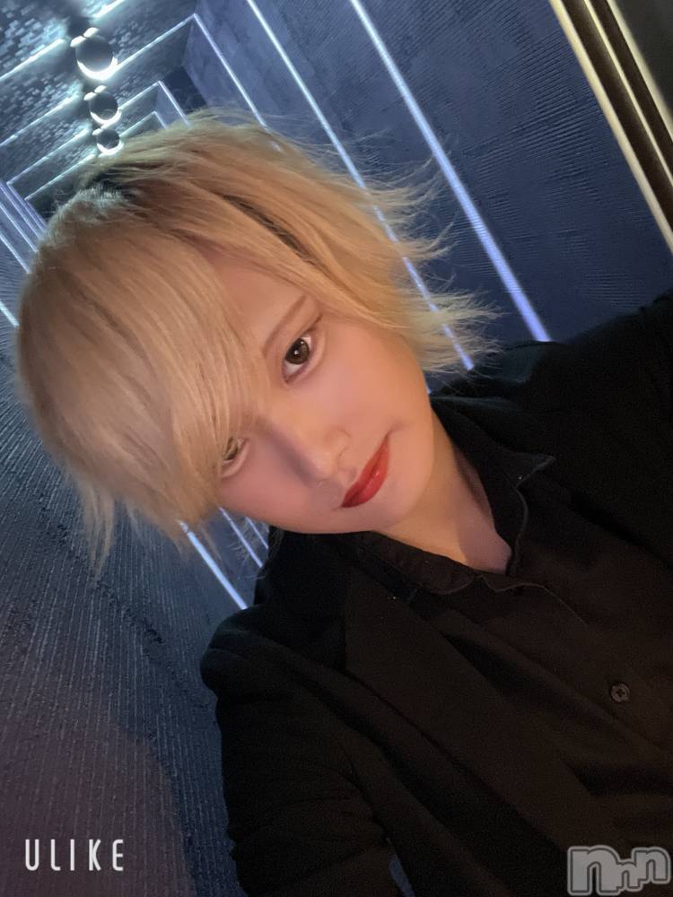 ��Į�ۥ��ȡ��ܡ������С�A151(�����������ݥ���) ��򥷥��8��9���̥�֥����֥ͥ��ڤ줹�ޤ��