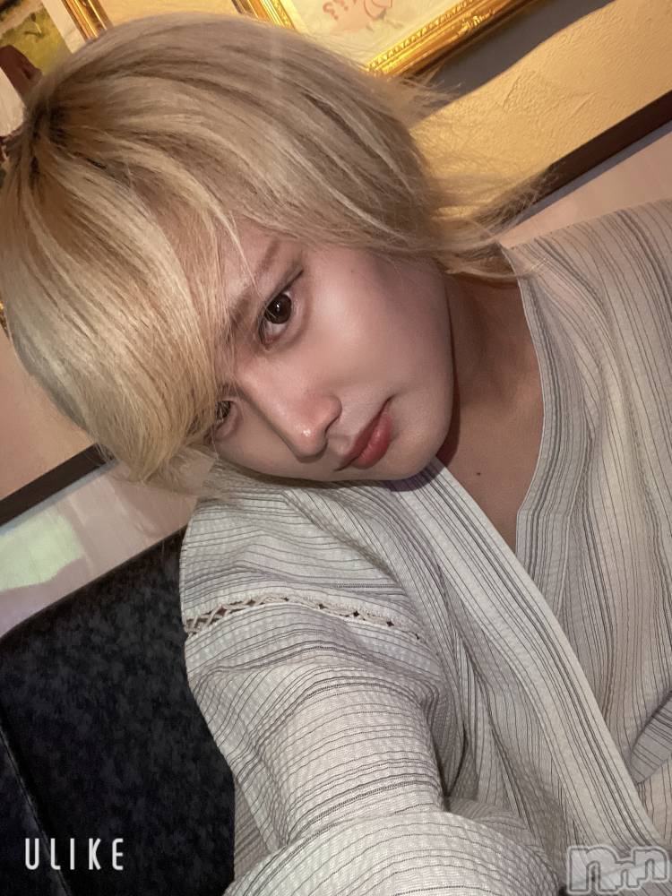 ��Į�ۥ��ȡ��ܡ������С�A151(�����������ݥ���) ��򥷥��8��13���̥�֥����֤��㡼�ʤ���