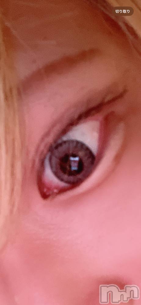 ��Į�ۥ��ȡ��ܡ������С�A151(�����������ݥ���) ��򥷥��8��16���̥�֥����֥��饳���