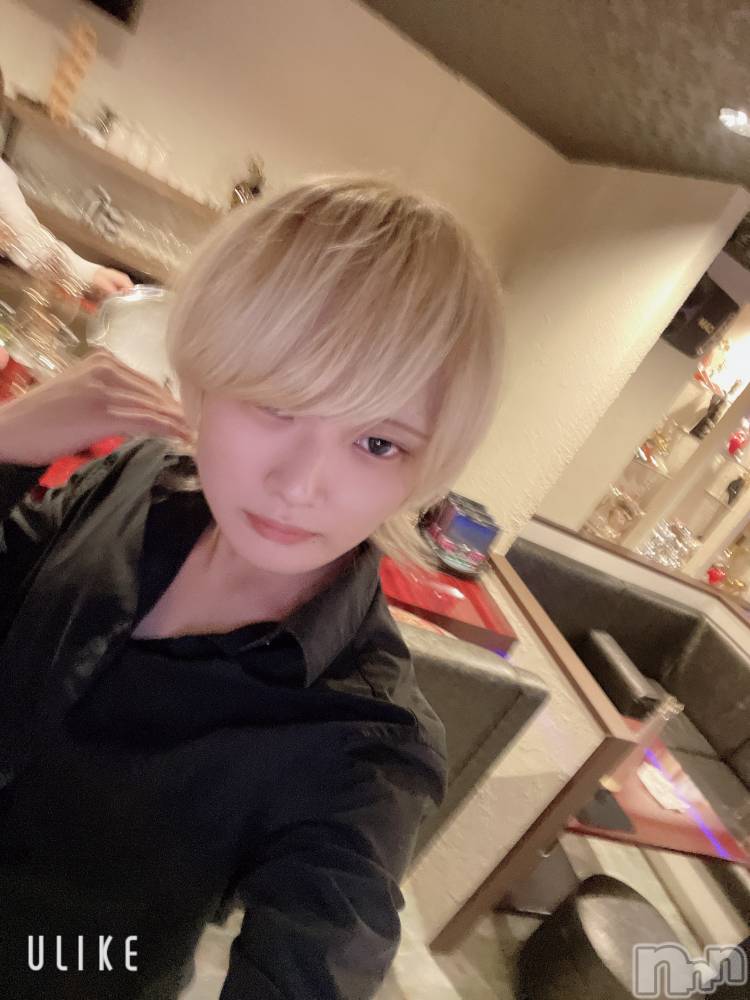 ��Į�ۥ��ȡ��ܡ������С�A151(�����������ݥ���) ��򥷥��10��12���̥�֥����������줤��