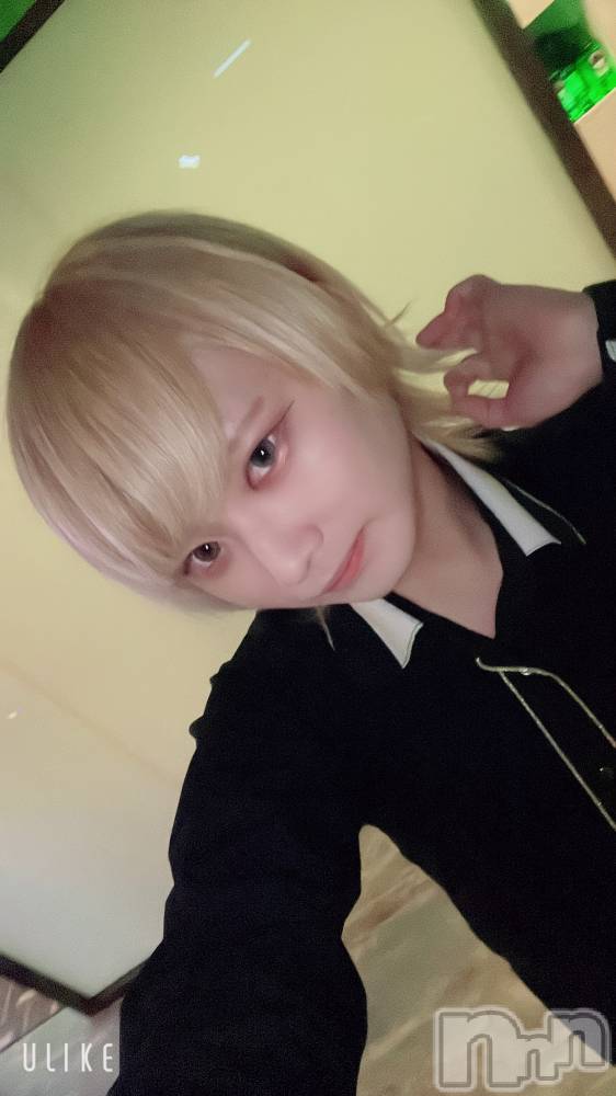 ��Į�ۥ��ȡ��ܡ������С�A151(�����������ݥ���) ��򥷥��12��19���̥�֥����ֻŻ���������