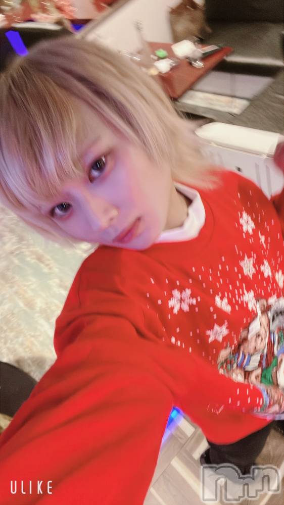 ��Į�ۥ��ȡ��ܡ������С�A151(�����������ݥ���) ��򥷥��12��25���̥�֥����֤֤�ơ����