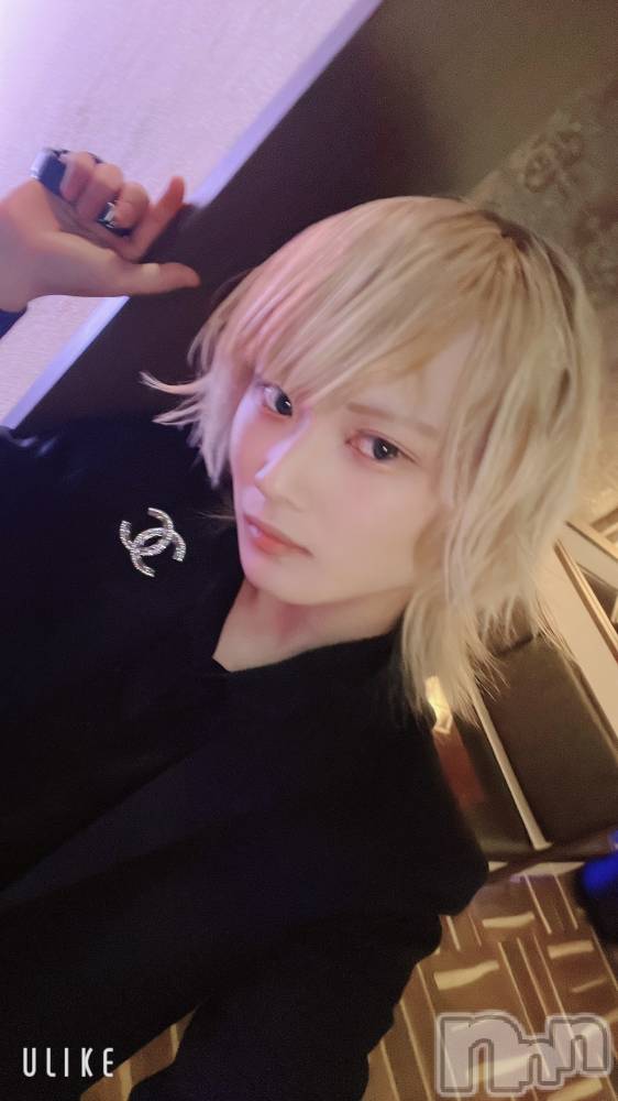 ��Į�ۥ��ȡ��ܡ������С�A151(�����������ݥ���) ��򥷥��1��4���̥�֥����֤��������