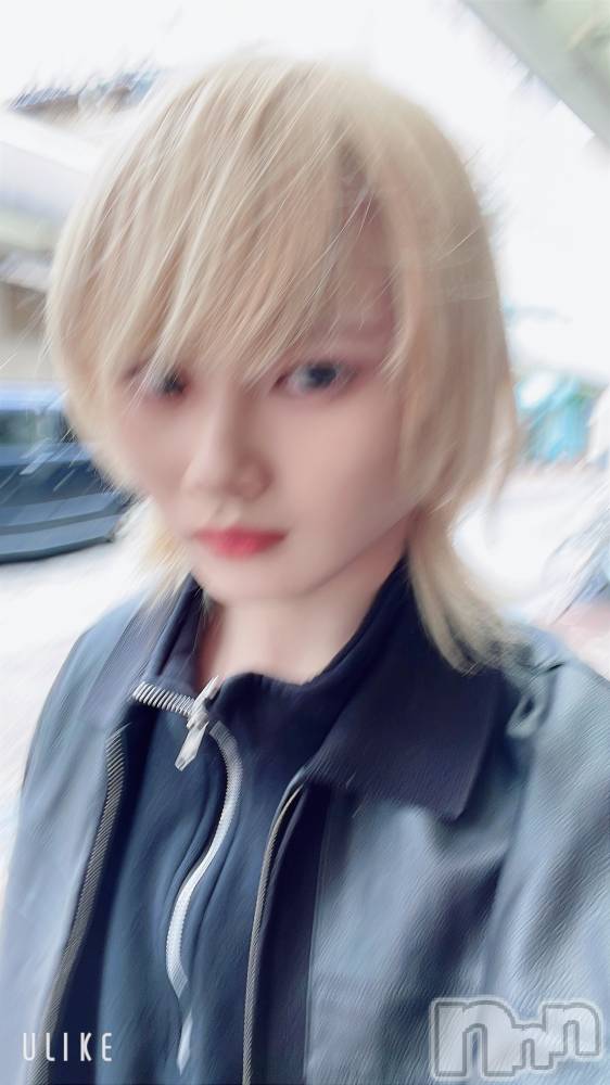 ��Į�ۥ��ȡ��ܡ������С�A151(�����������ݥ���) ��򥷥��1��10���̥�֥�����ʷ�ϵ���