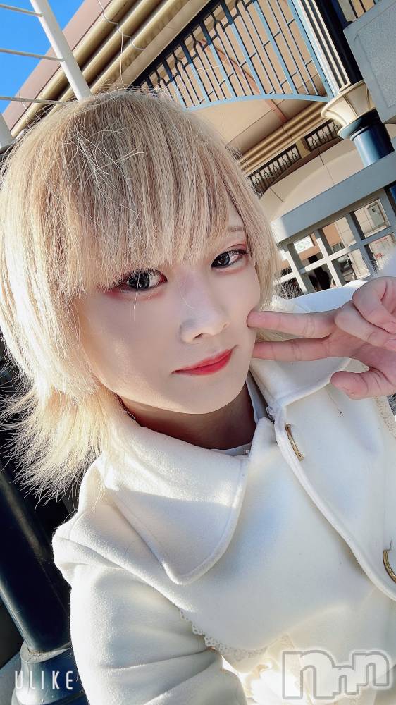 ��Į�ۥ��ȡ��ܡ������С�A151(�����������ݥ���) ��򥷥��1��19���̥�֥����ִ��������ĤŤ���