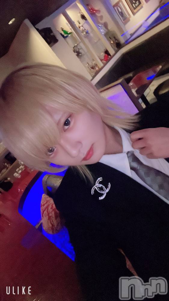 ��Į�ۥ��ȡ��ܡ������С�A151(�����������ݥ���) ��򥷥��1��31���̥�֥�����������������