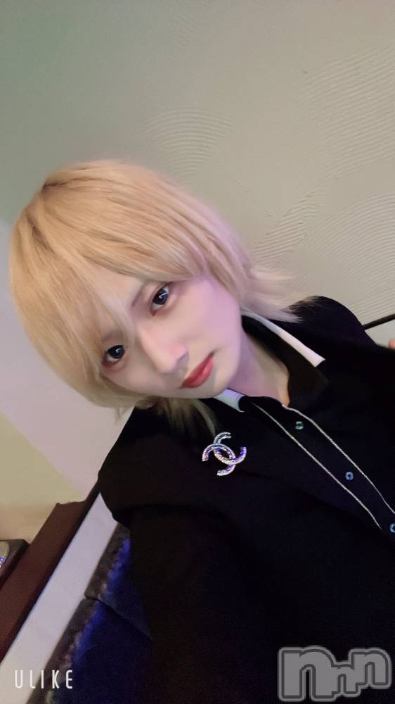 ��Į�ۥ��ȡ��ܡ������С�A151(�����������ݥ���) ��򥷥��2��2���̥�֥���������������������