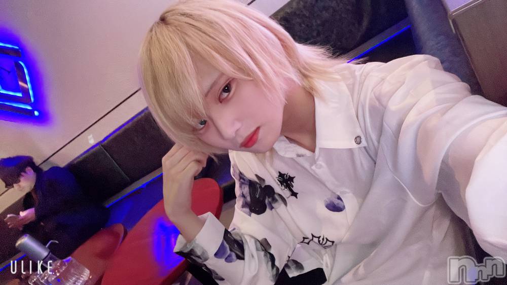 ��Į�ۥ��ȡ��ܡ������С�A151(�����������ݥ���) ��򥷥��2��3���̥�֥�����Ź������