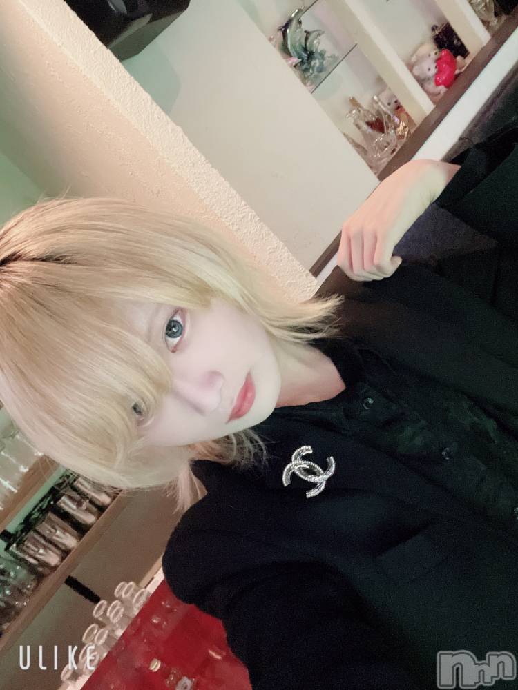 ��Į�ۥ��ȡ��ܡ������С�A151(�����������ݥ���) ��򥷥��2��7���̥�֥����֥֥����ġ�