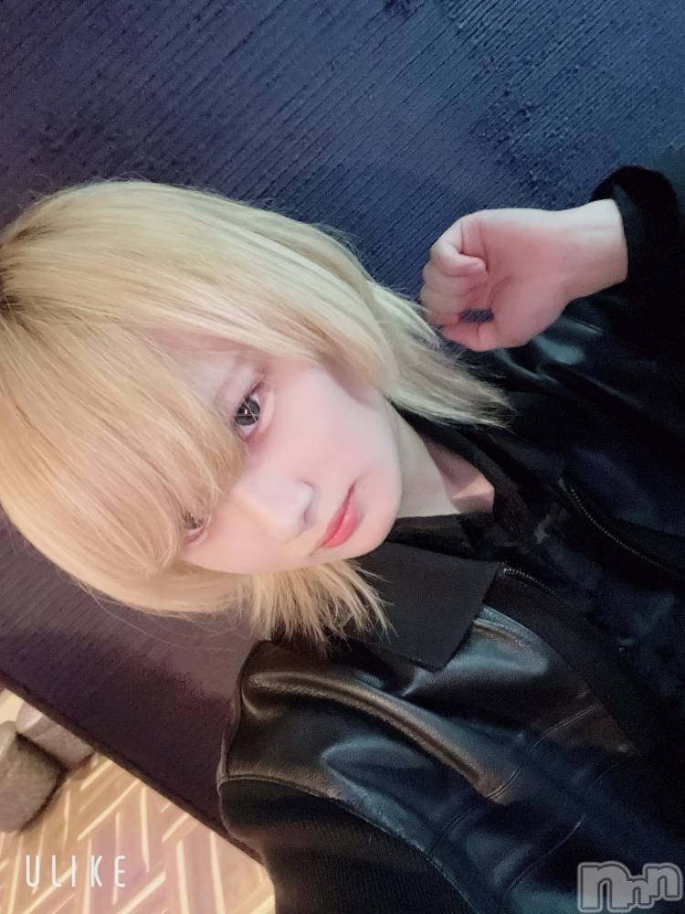 ��Į�ۥ��ȡ��ܡ������С�A151(�����������ݥ���) ��򥷥��2��9���̥�֥���������Ƥʤ���������Ƥ͡�