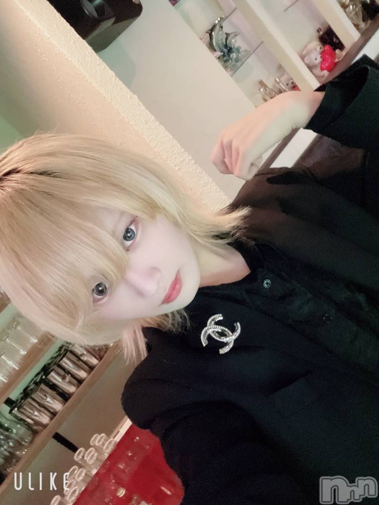 ��Į�ۥ��ȡ��ܡ������С�A151(�����������ݥ���) ��򥷥��2��12���̥�֥����ֽжФ�����