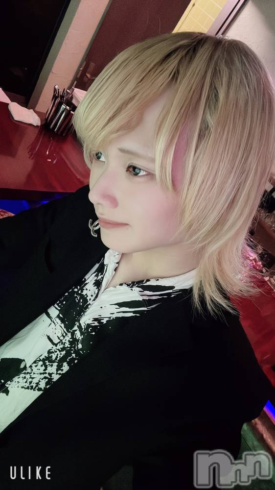 ��Į�ۥ��ȡ��ܡ������С�A151(�����������ݥ���) ��򥷥��2��13���̥�֥�������������