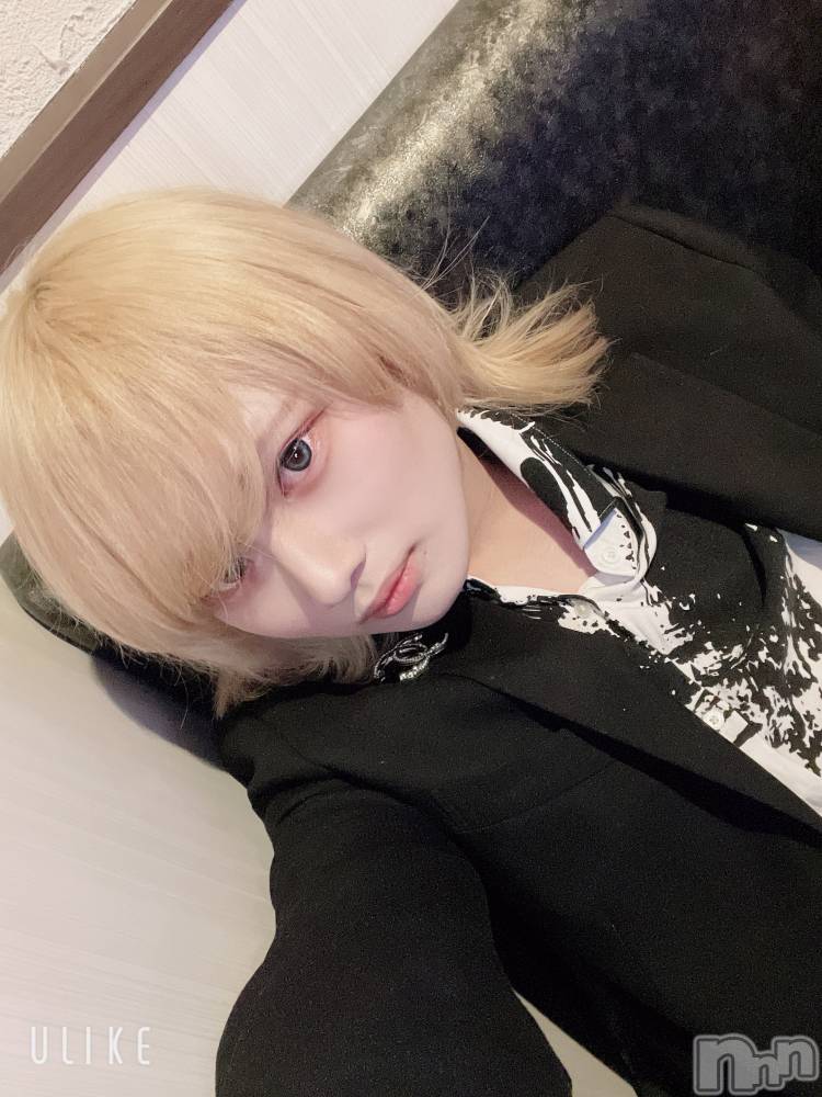 ��Į�ۥ��ȡ��ܡ������С�A151(�����������ݥ���) ��򥷥��3��2���̥�֥����֣�������