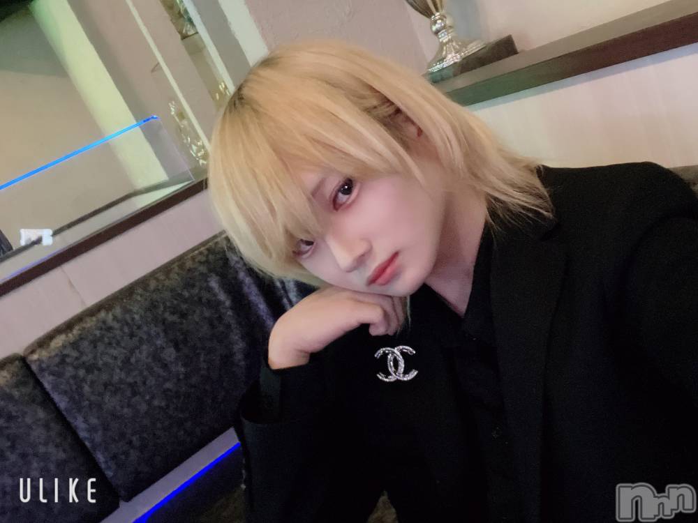 ��Į�ۥ��ȡ��ܡ������С�A151(�����������ݥ���) ��򥷥��3��6���̥�֥�����������������