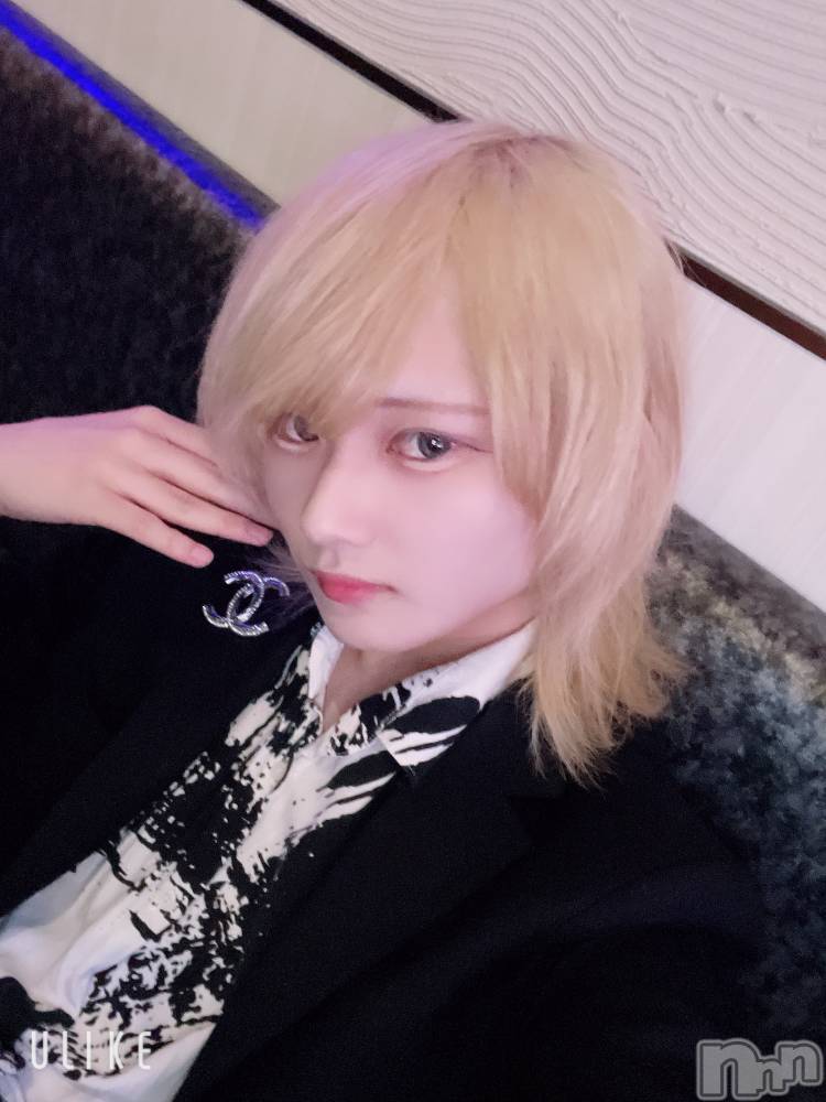 ��Į�ۥ��ȡ��ܡ������С�A151(�����������ݥ���) ��򥷥��3��12���̥�֥����ֺǶ�ϥޤäƤ��