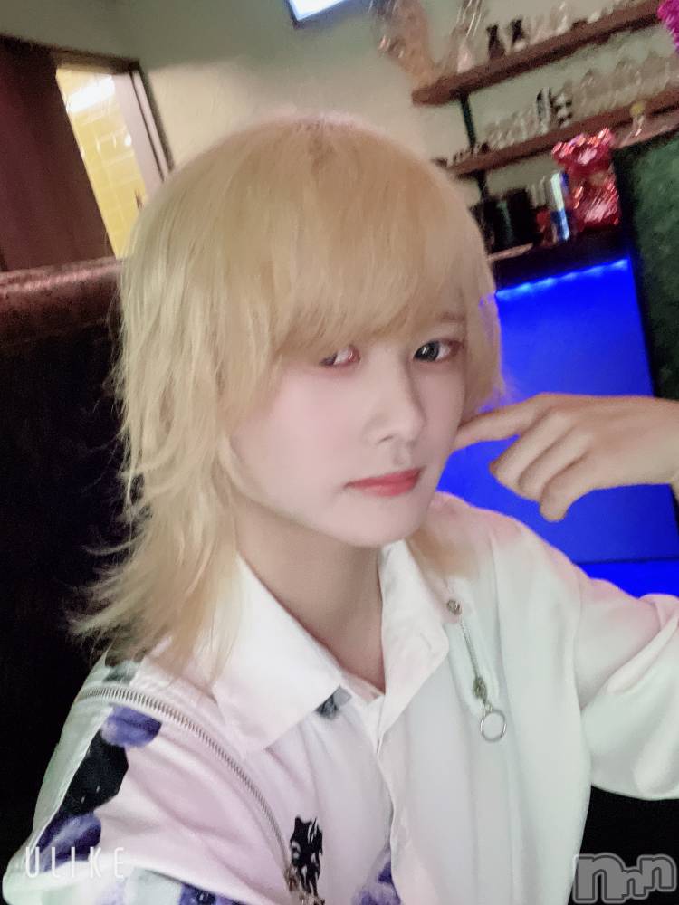 ��Į�ۥ��ȡ��ܡ������С�A151(�����������ݥ���) ��򥷥��4��30���̥�֥���������������