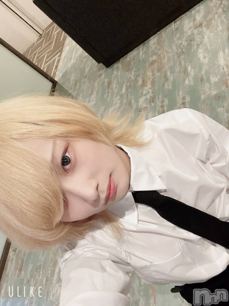 ��Į�ۥ��ȡ��ܡ������С�A151(�����������ݥ���) ��򥷥��5��7���̥�֥�����GW��������