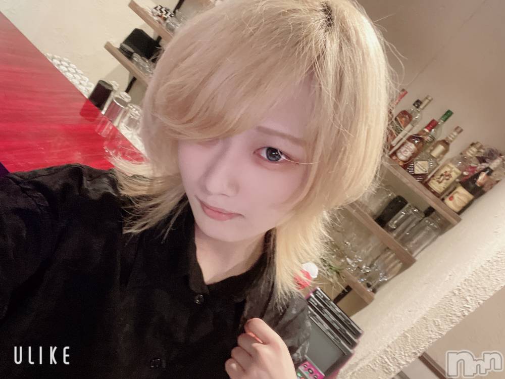 ��Į�ۥ��ȡ��ܡ������С�A151(�����������ݥ���) ��򥷥��5��8���̥�֥����֤���