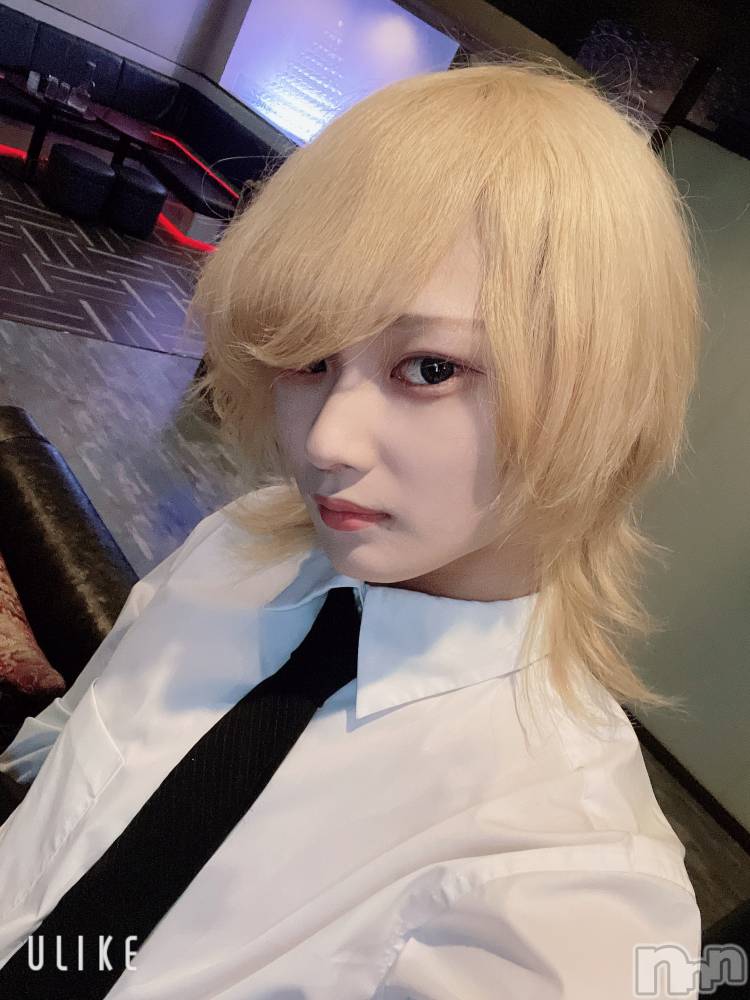 ��Į�ۥ��ȡ��ܡ������С�A151(�����������ݥ���) ��򥷥��5��10���̥�֥����֥ǥȥå���������